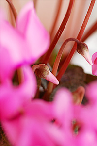 02022-1.jpg