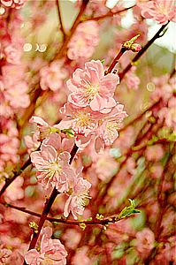 0206-5.jpg