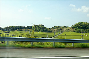 0418-05.jpg