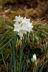 070126-3.jpg