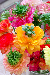 070127-11.jpg