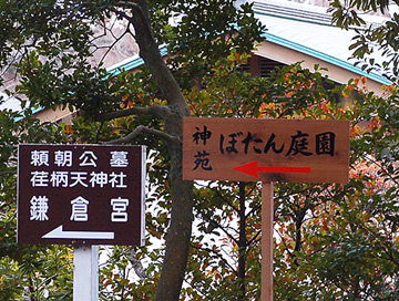 0801015-01.jpg