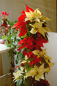12-16-0.jpg