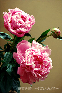 6-11-73.jpg
